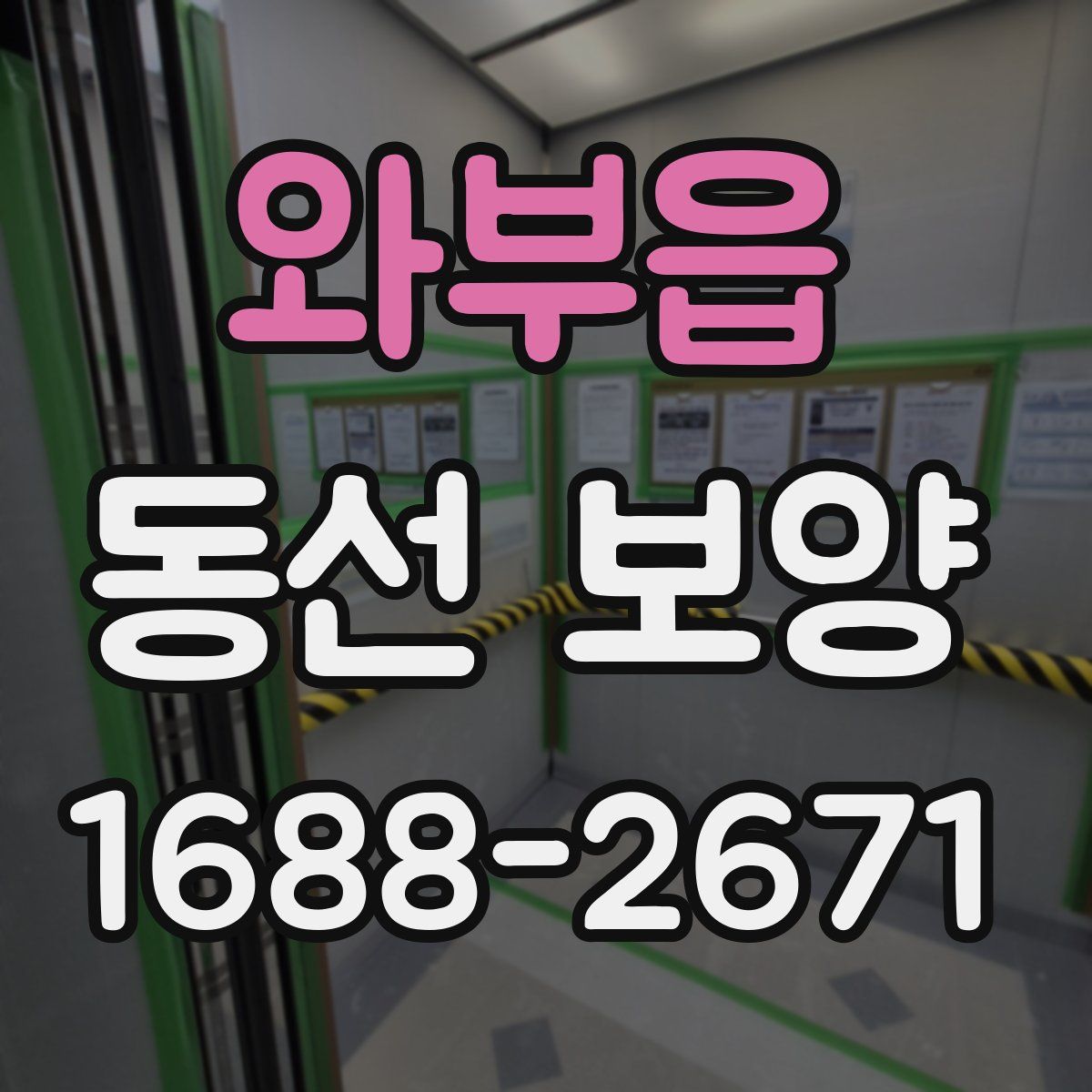 와부읍 동선 보양