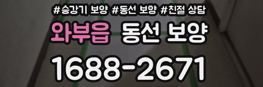 와부읍 동선 보양