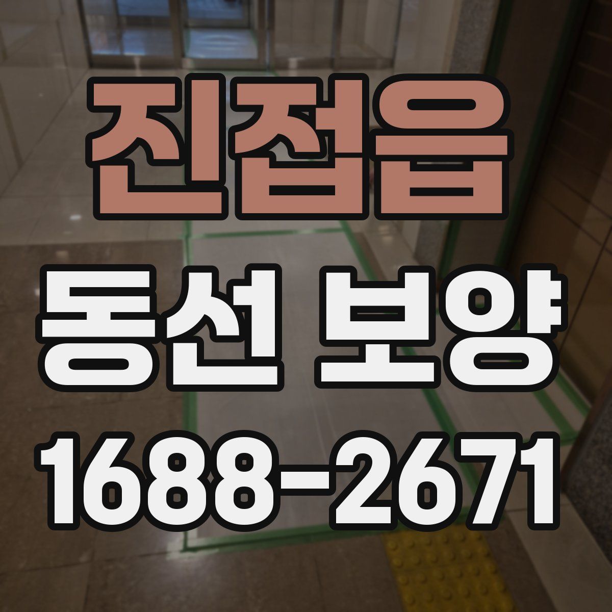 진접읍 동선 보양