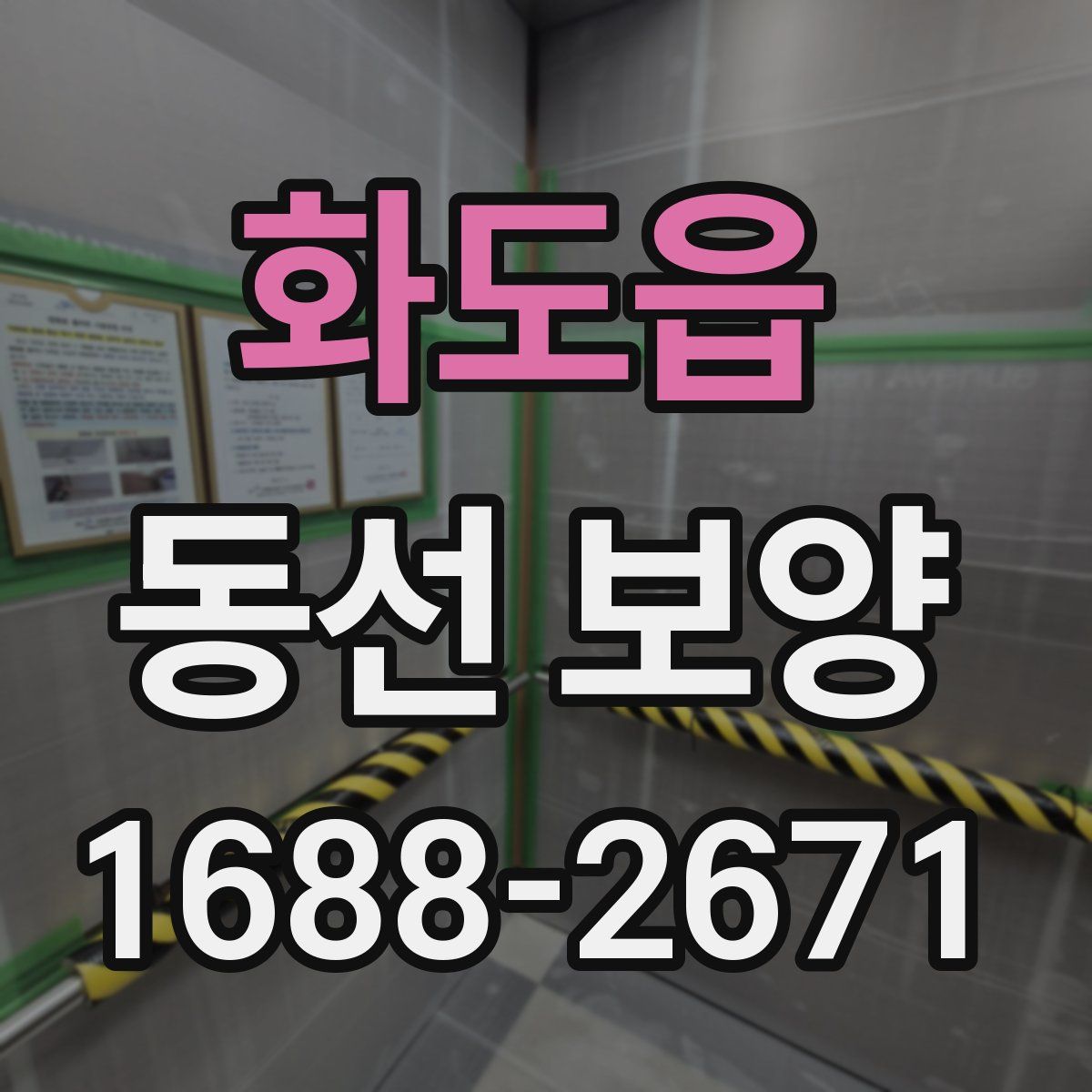 화도읍 동선 보양