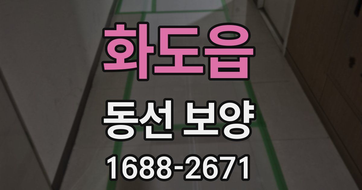 화도읍 동선 보양