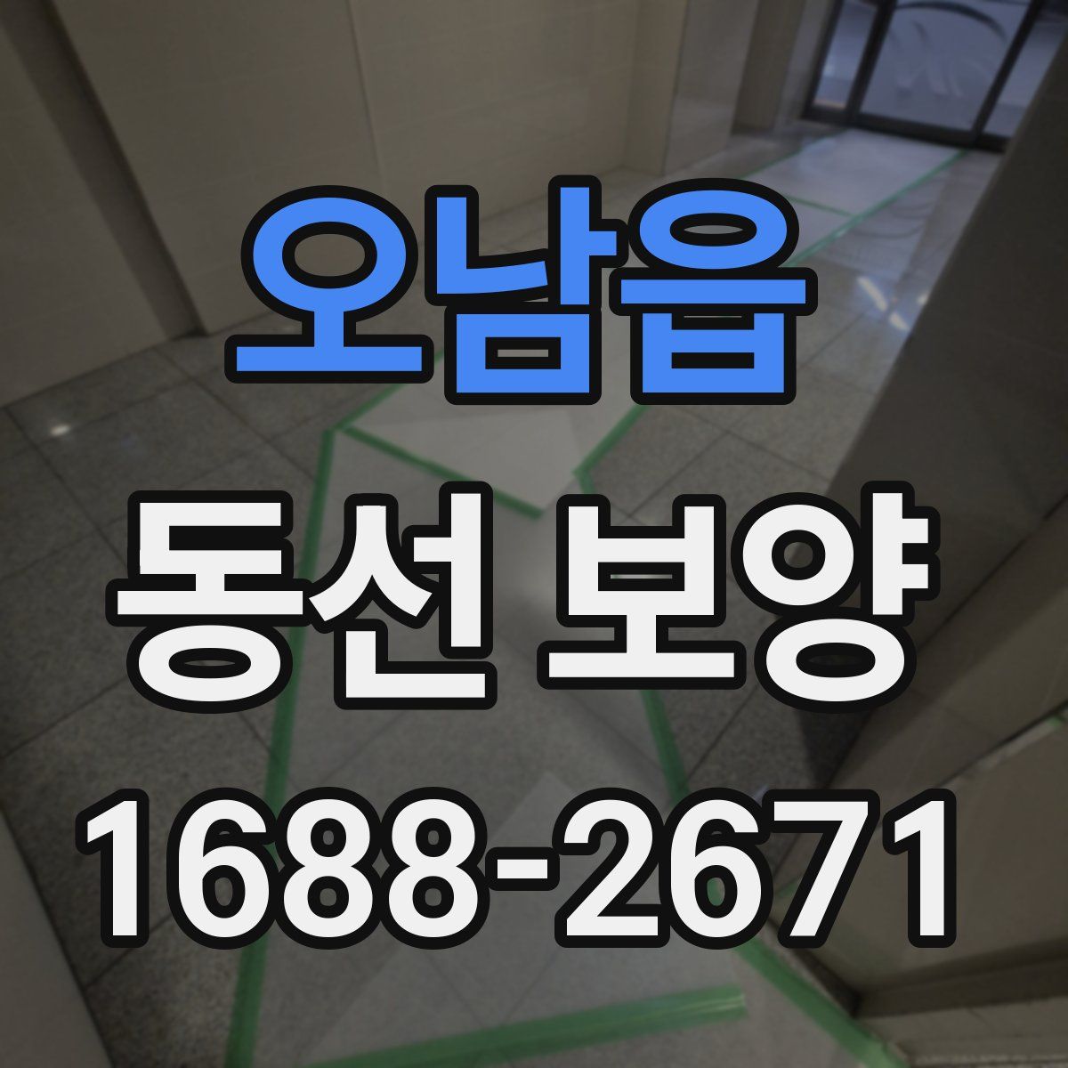 오남읍 동선 보양