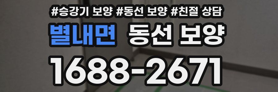 별내면 동선 보양
