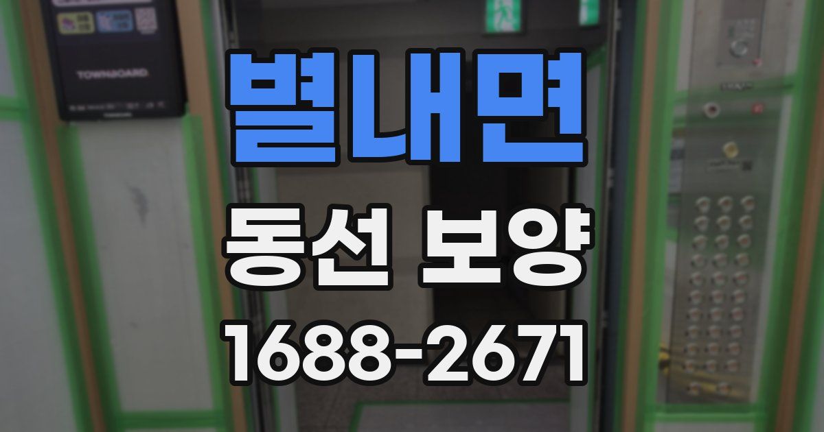 별내면 동선 보양