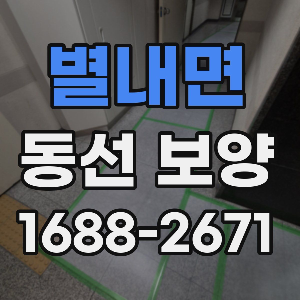 별내면 동선 보양