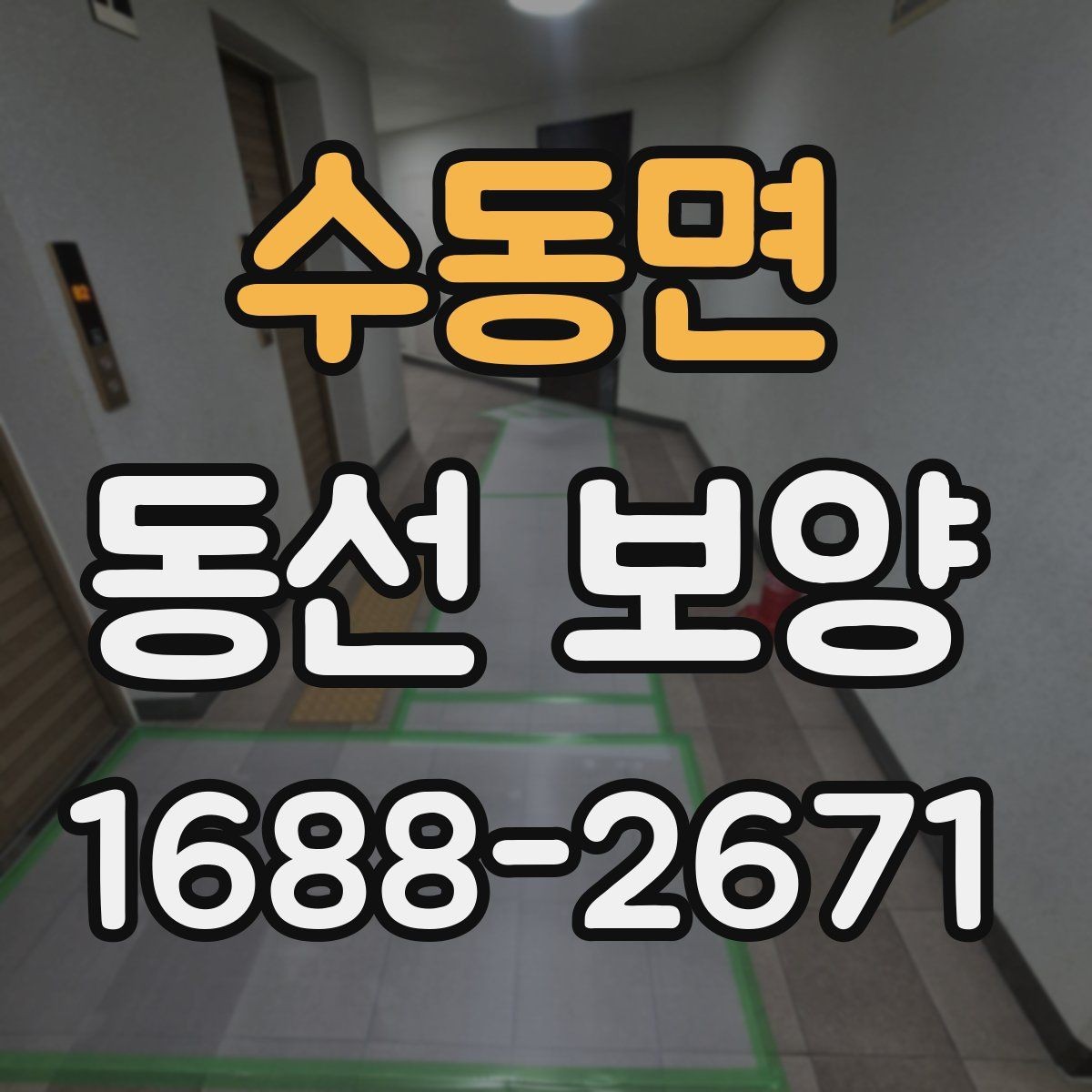 수동면 동선 보양 적용 시기와 적절한 타이밍