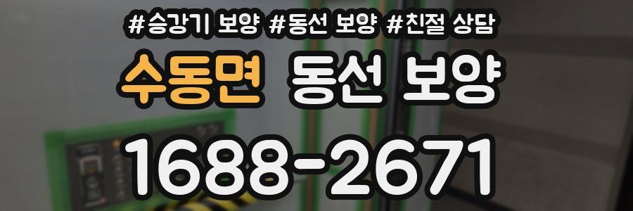 수동면 동선 보양