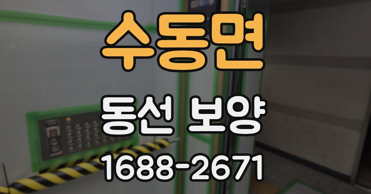 수동면 동선 보양