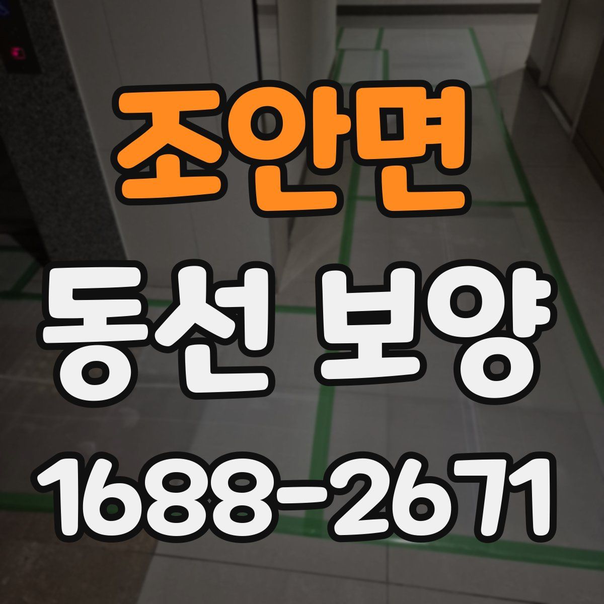 조안면 동선 보양