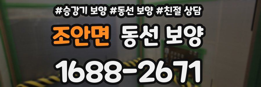 조안면 동선 보양