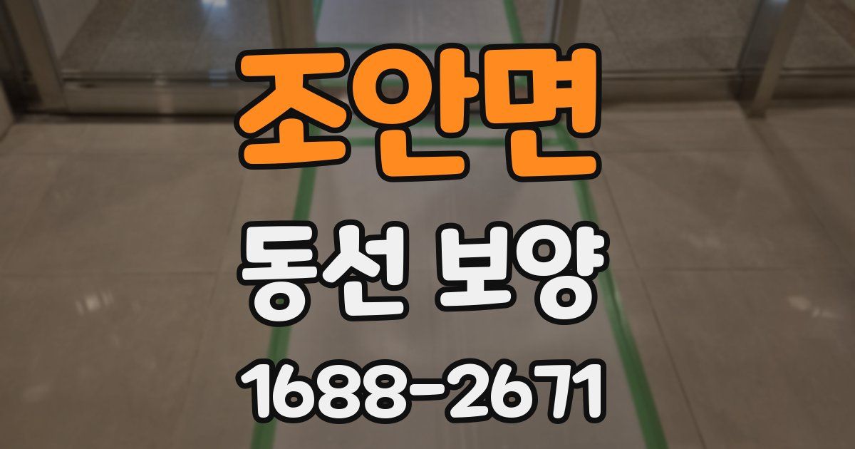 조안면 동선 보양
