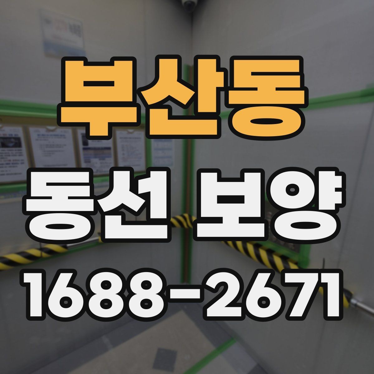 부산동 동선 보양 시공을 맡기기 전 비교 포인트