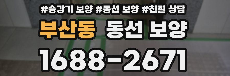 부산동 동선 보양