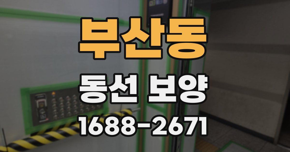 부산동 동선 보양