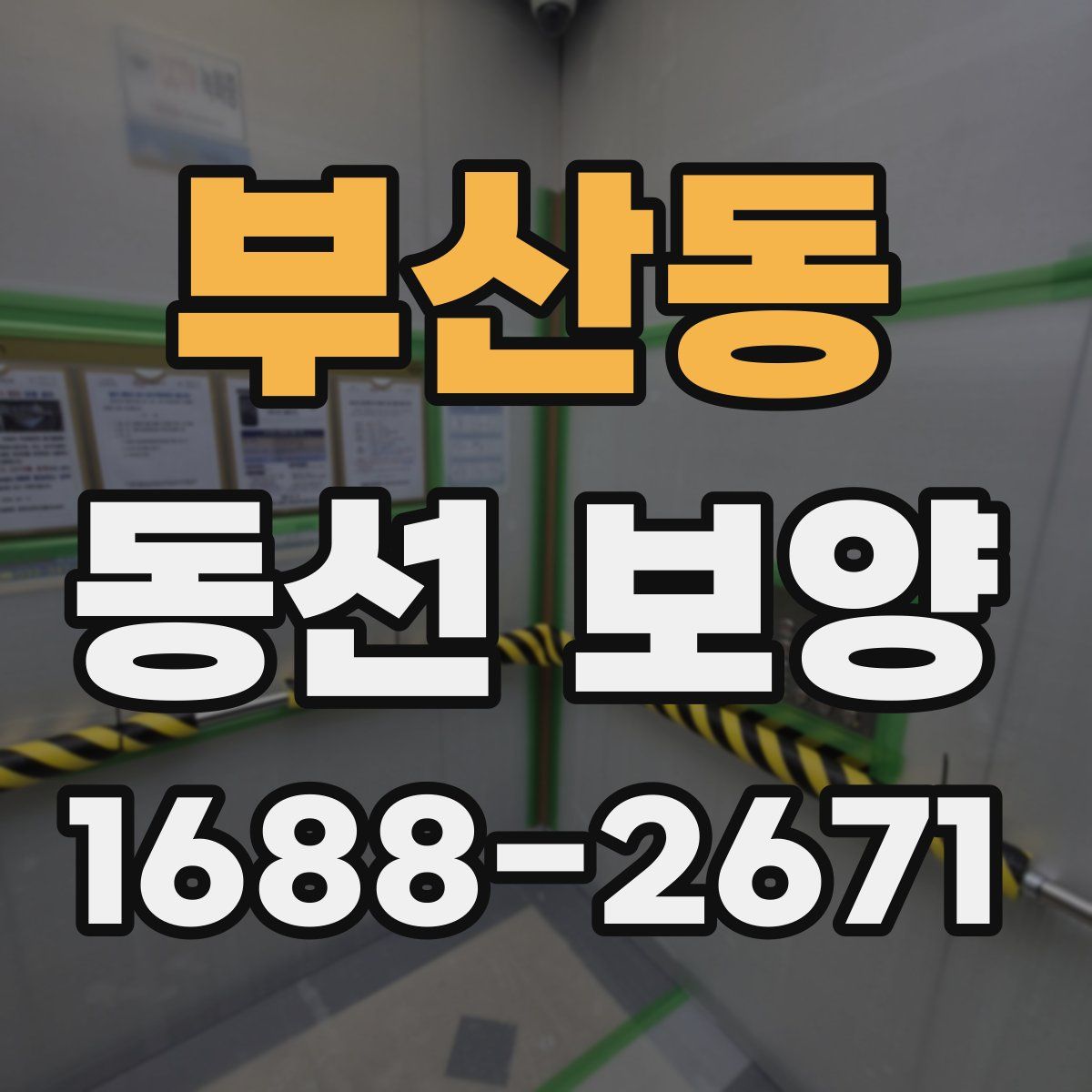 부산동 동선 보양