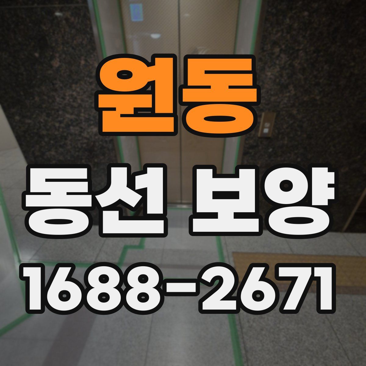 원동 동선 보양