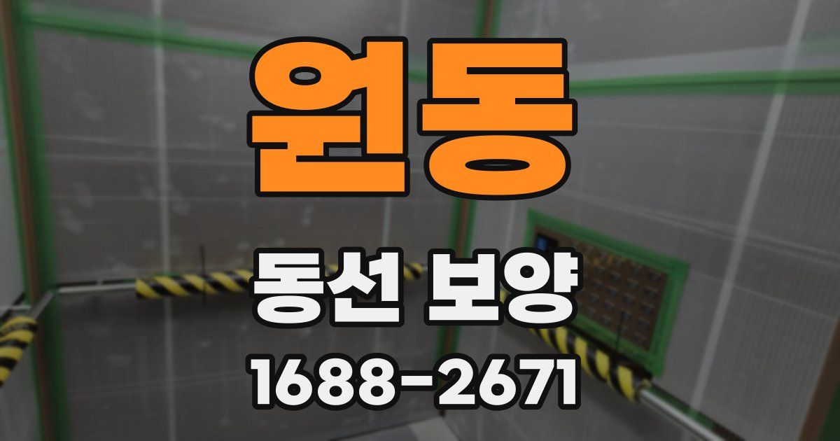 원동 동선 보양