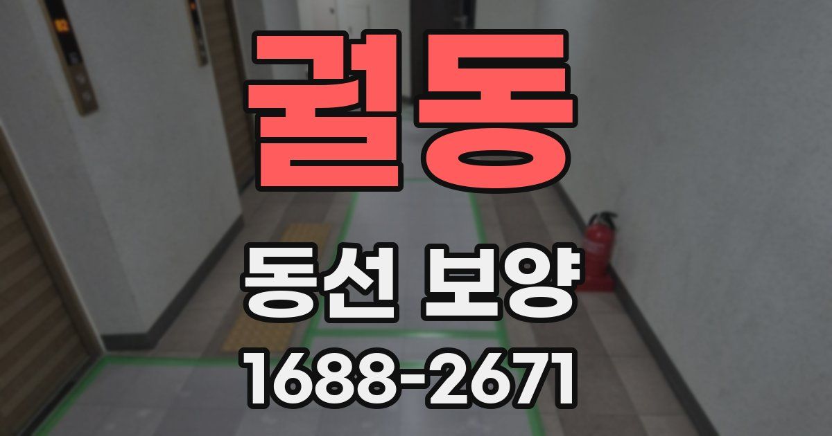 궐동 동선 보양