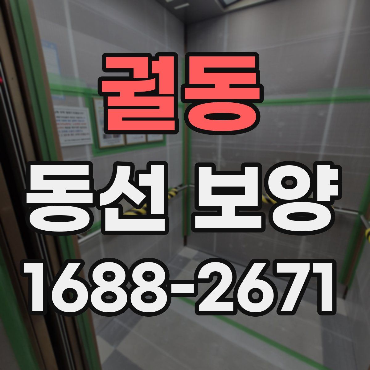 궐동 동선 보양