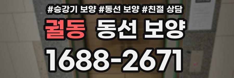 궐동 동선 보양