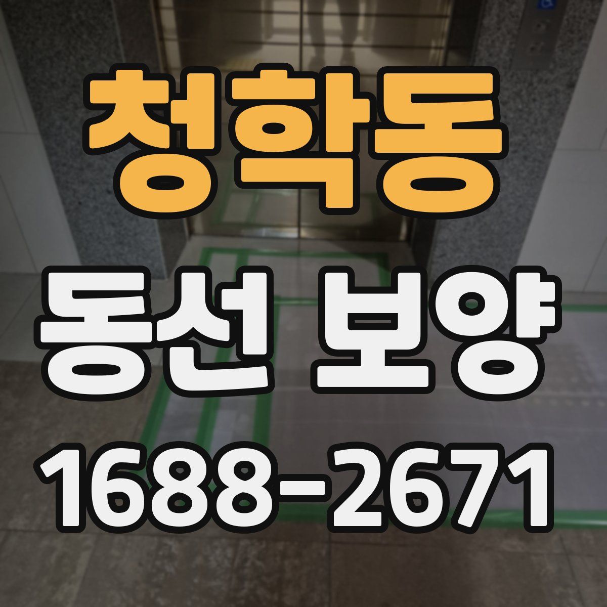 청학동 동선 보양