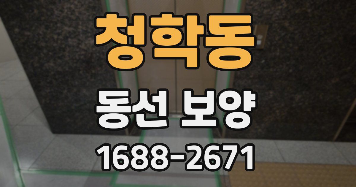 청학동 동선 보양