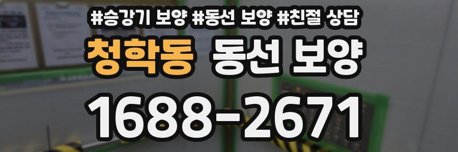 청학동 동선 보양