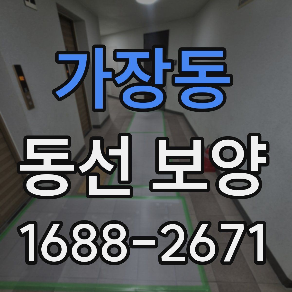 가장동 동선 보양 작업 시간과 일정 잡는 법