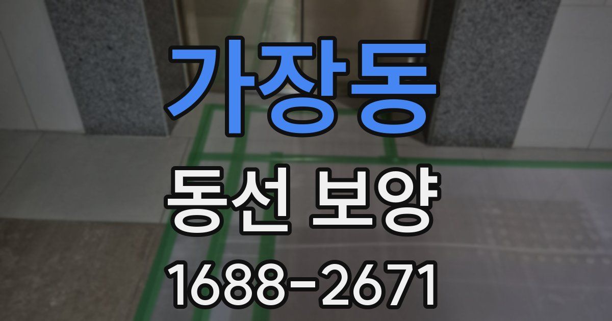 가장동 동선 보양