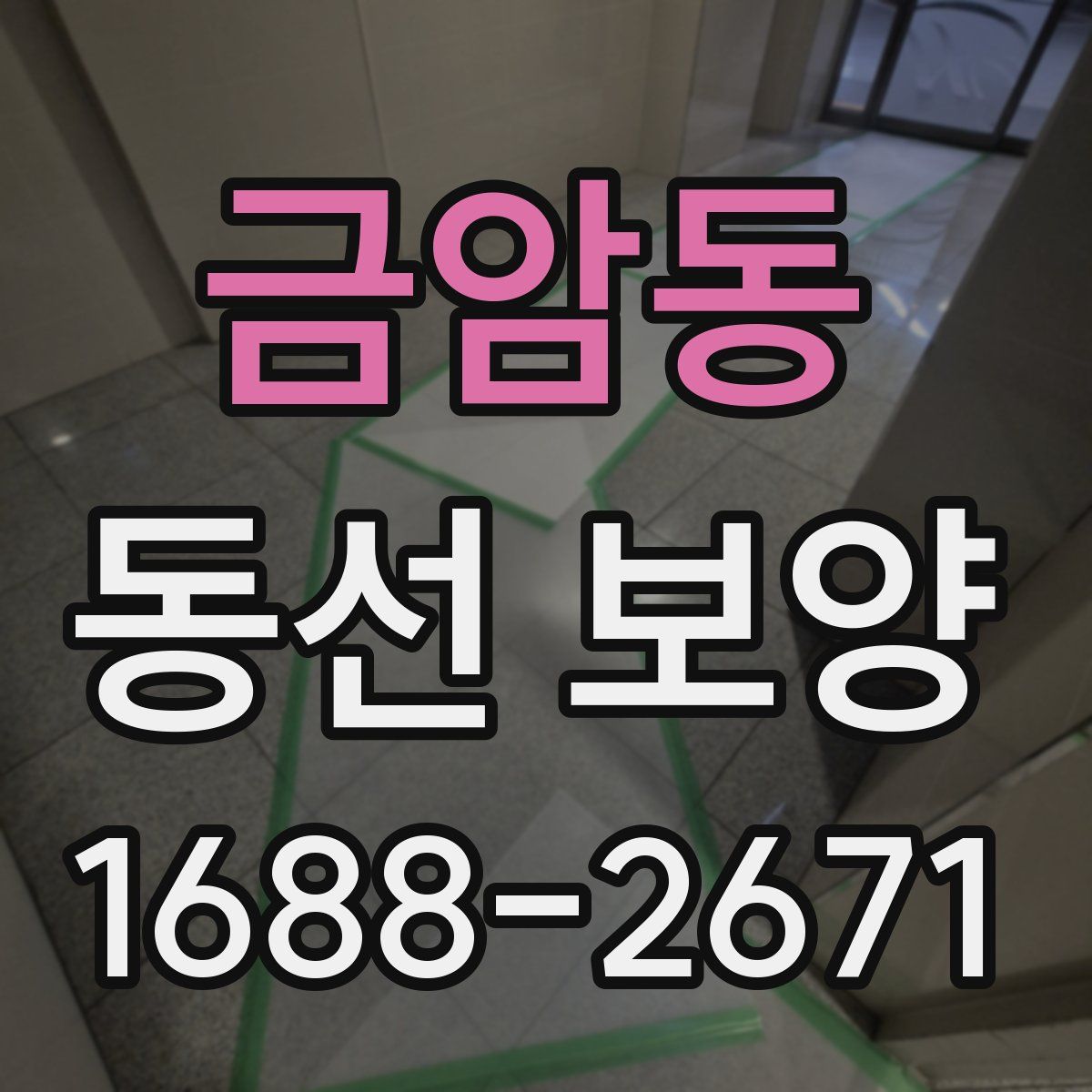 금암동 동선 보양