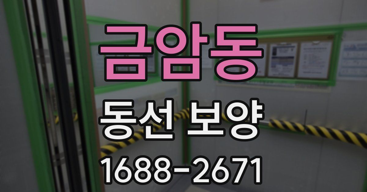 금암동 동선 보양
