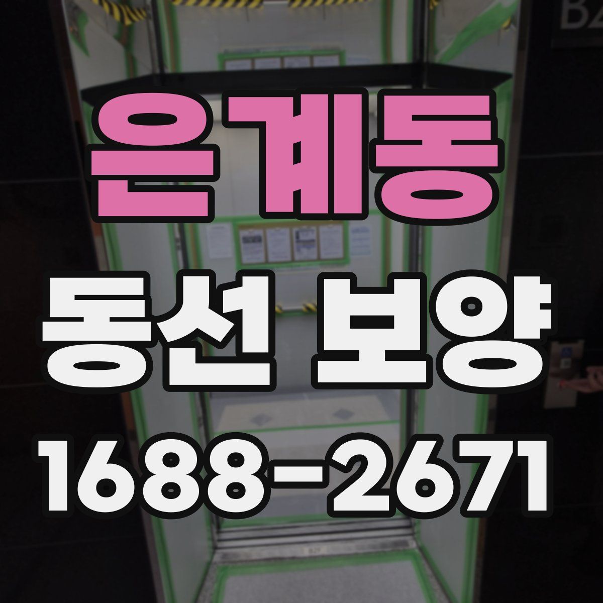 은계동 동선 보양