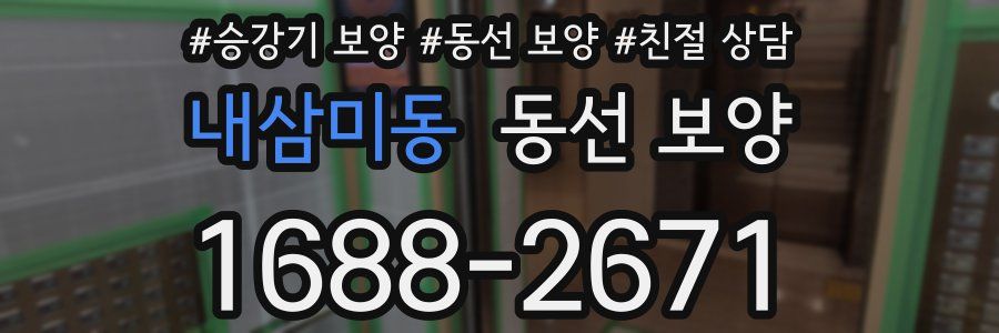내삼미동 동선 보양