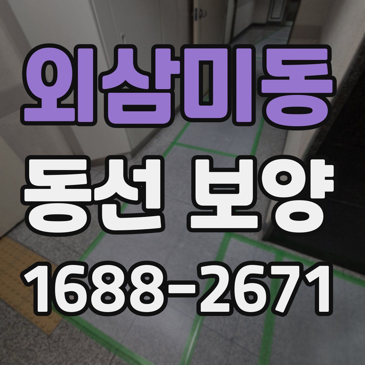 외삼미동 동선 보양