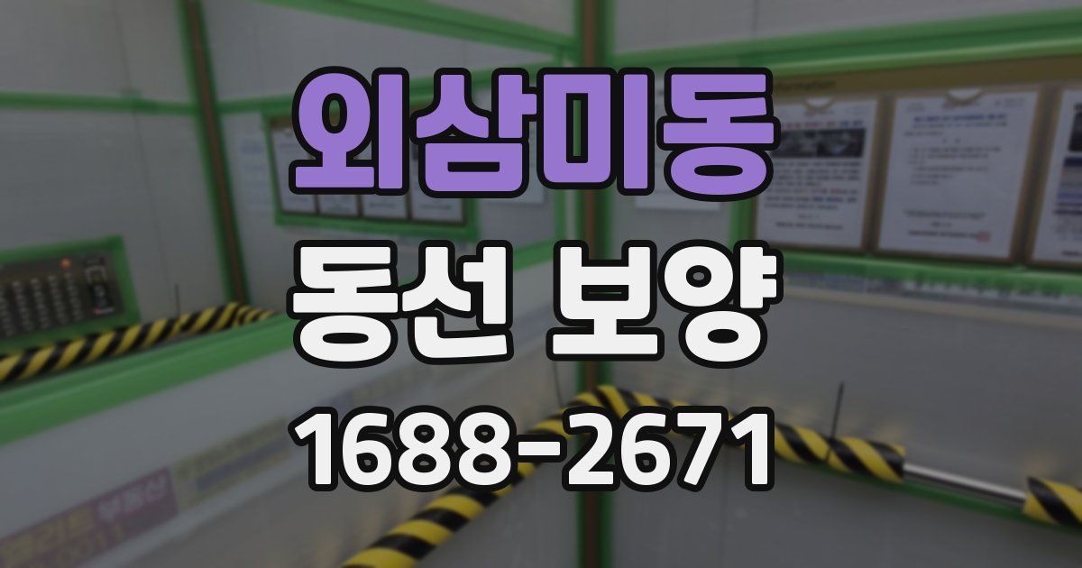 외삼미동 동선 보양
