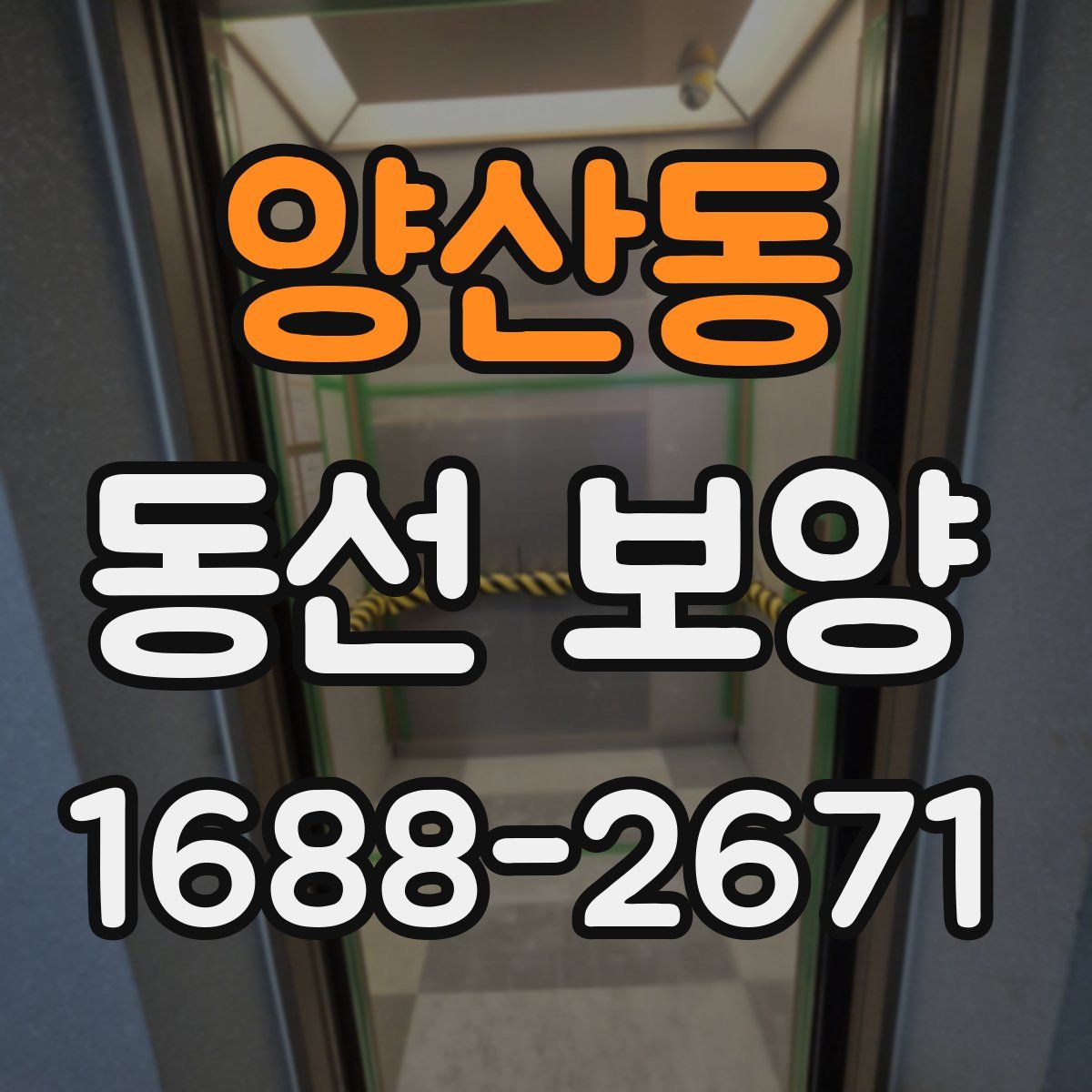 양산동 동선 보양