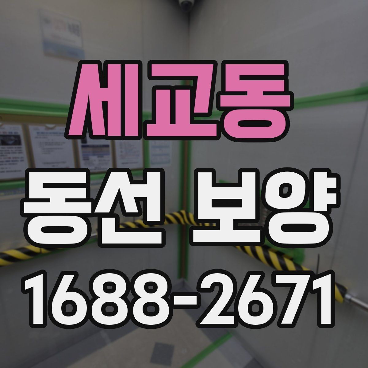 세교동 동선 보양 적용 사례를 통해 보는 차이
