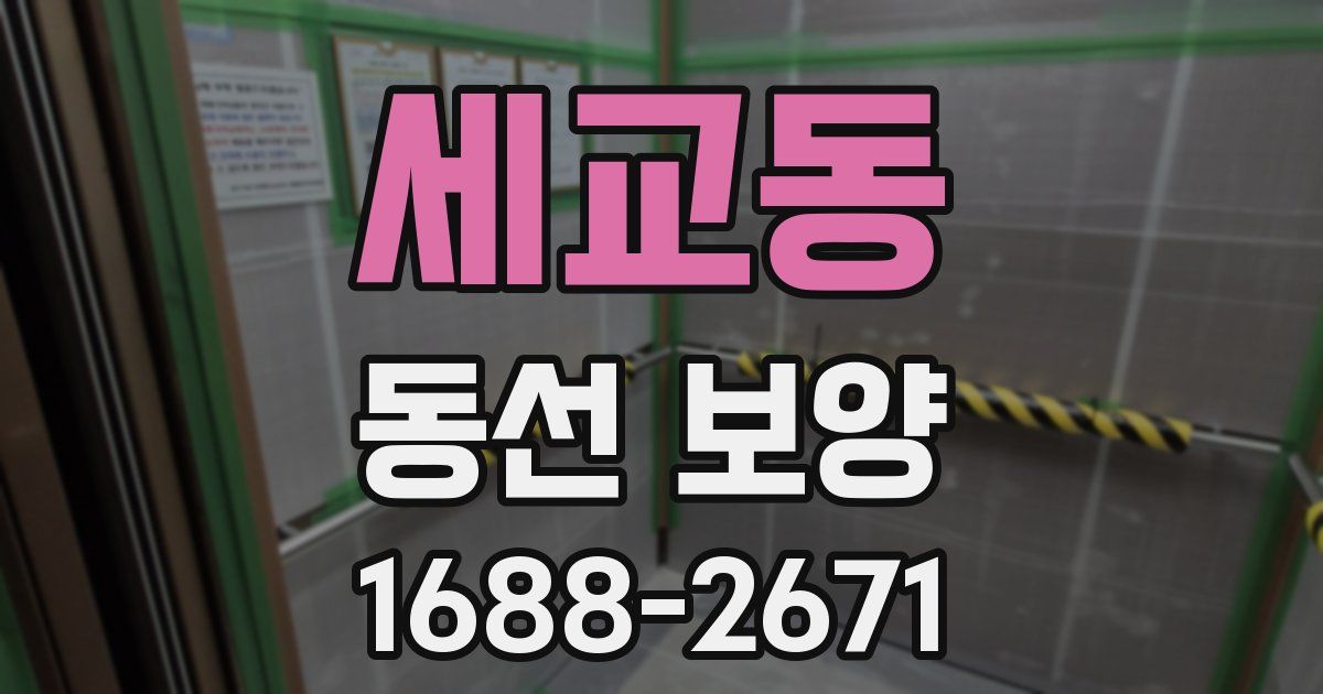 세교동 동선 보양