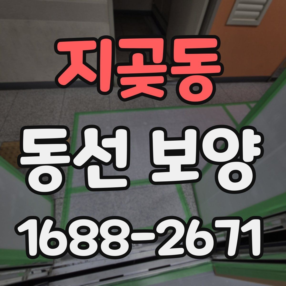 지곶동 동선 보양 작업이 필요한 이유와 업무 흐름