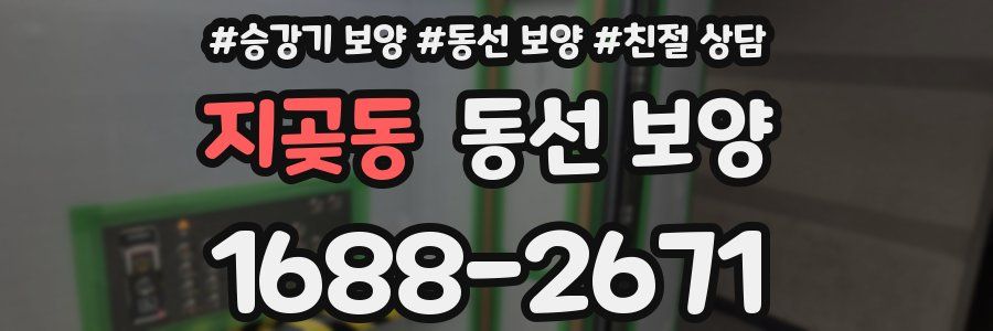 지곶동 동선 보양