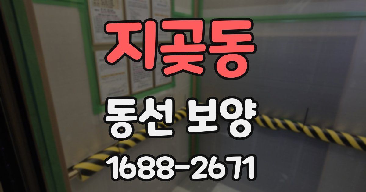 지곶동 동선 보양