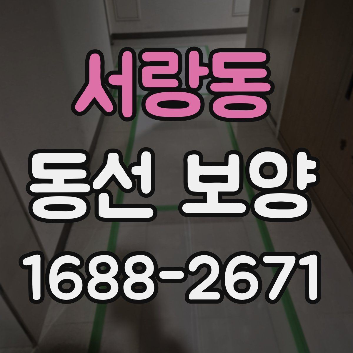 서랑동 동선 보양 현장별로 달라지는 작업 포인트
