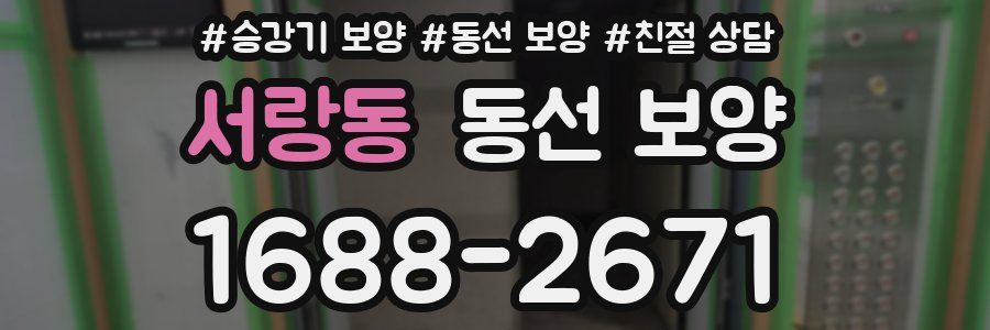 서랑동 동선 보양
