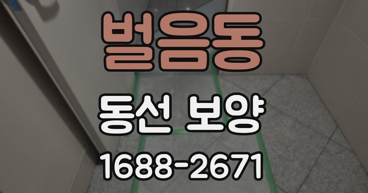 벌음동 동선 보양