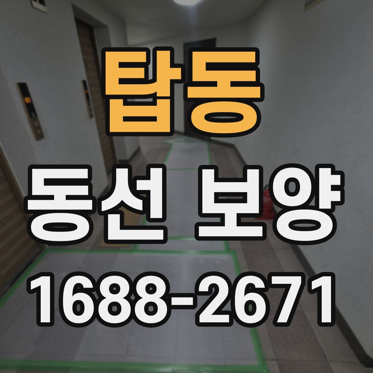 탑동 동선 보양