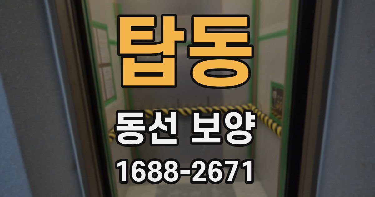 탑동 동선 보양