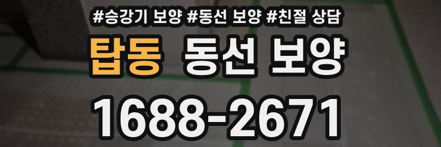 탑동 동선 보양
