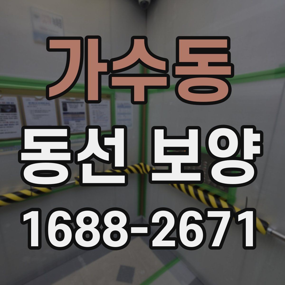 가수동 동선 보양 실수 줄이는 현장 관리법