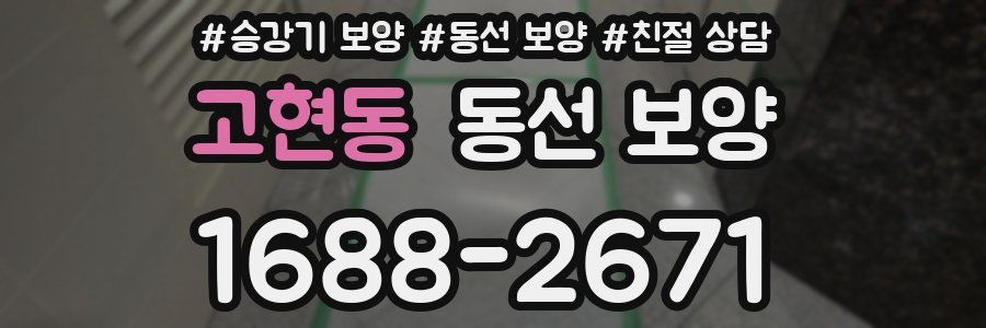 고현동 동선 보양