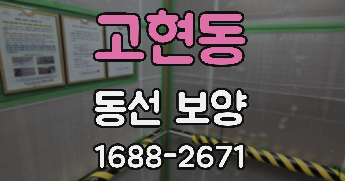 고현동 동선 보양